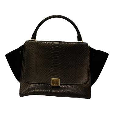 Celine Trapèze lizard handbag