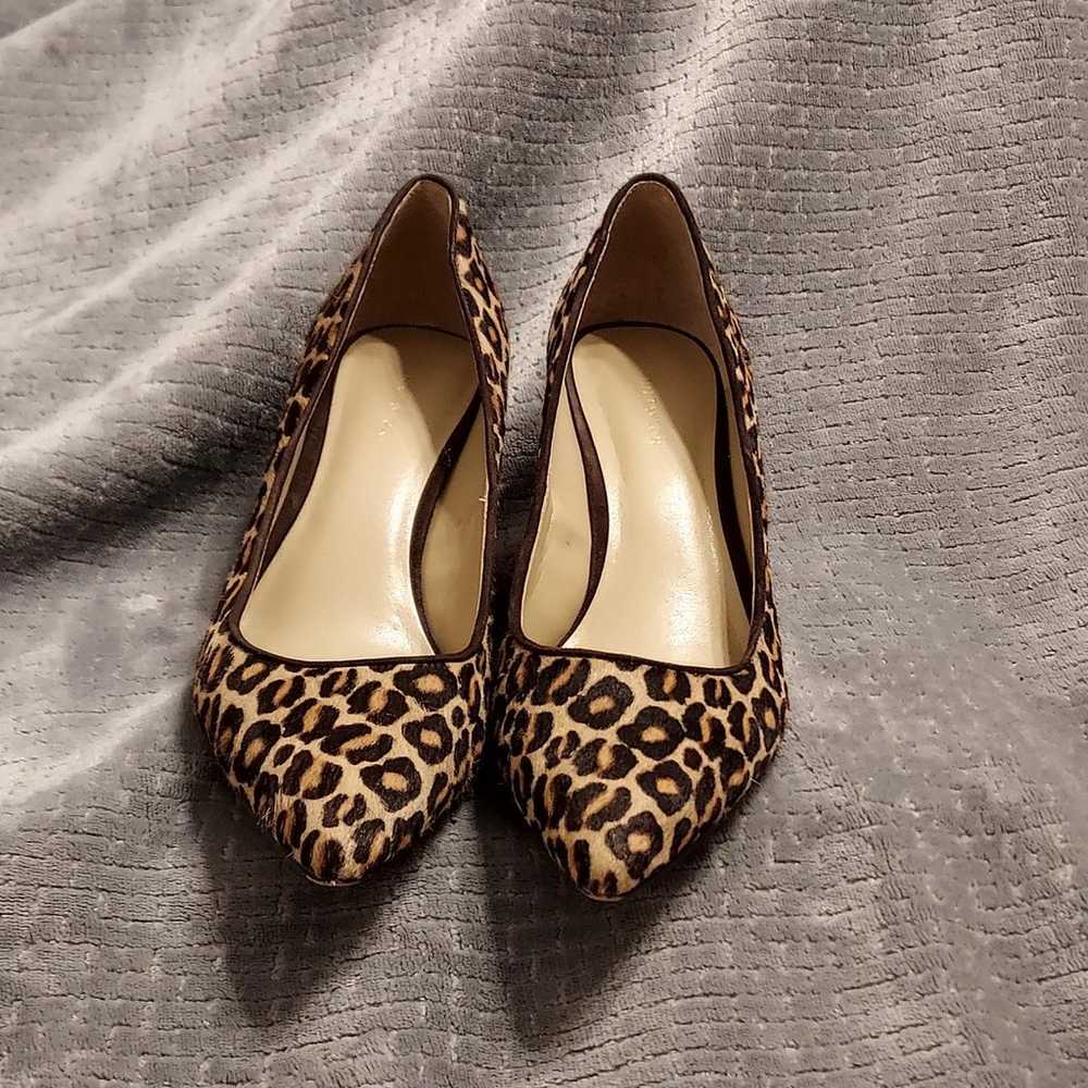 Ann Taylor Reece Leopard Print Calfhair Heels 7.5… - image 2