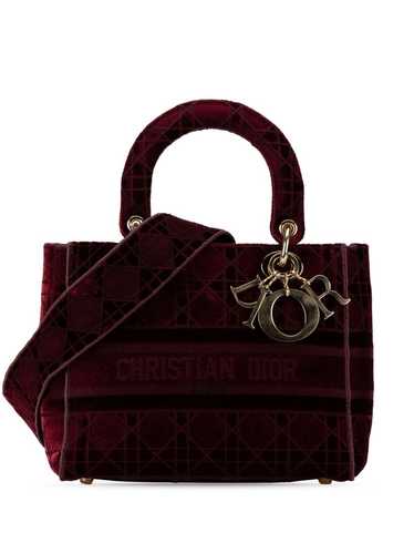 Christian Dior Pre-Owned 2020 Medium Velvet Cannag