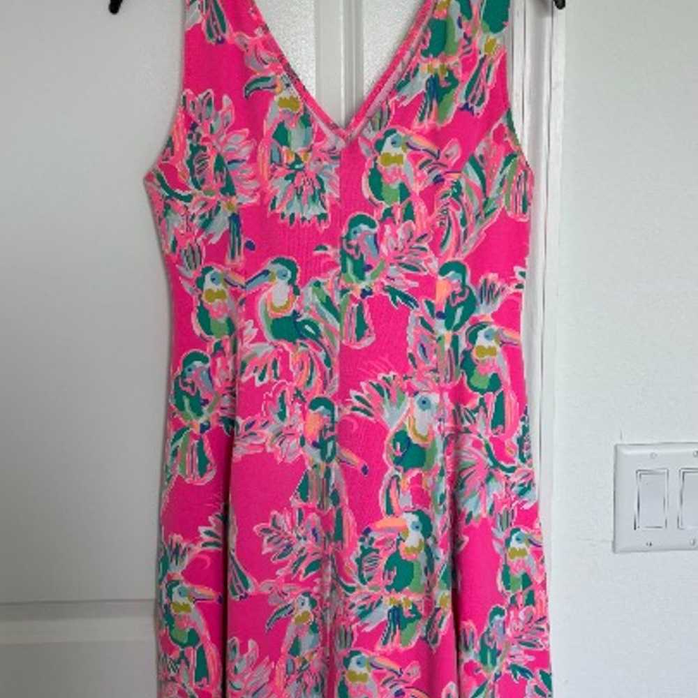 Lilly Pulitzer Dahlia Dress - Size Small - image 1