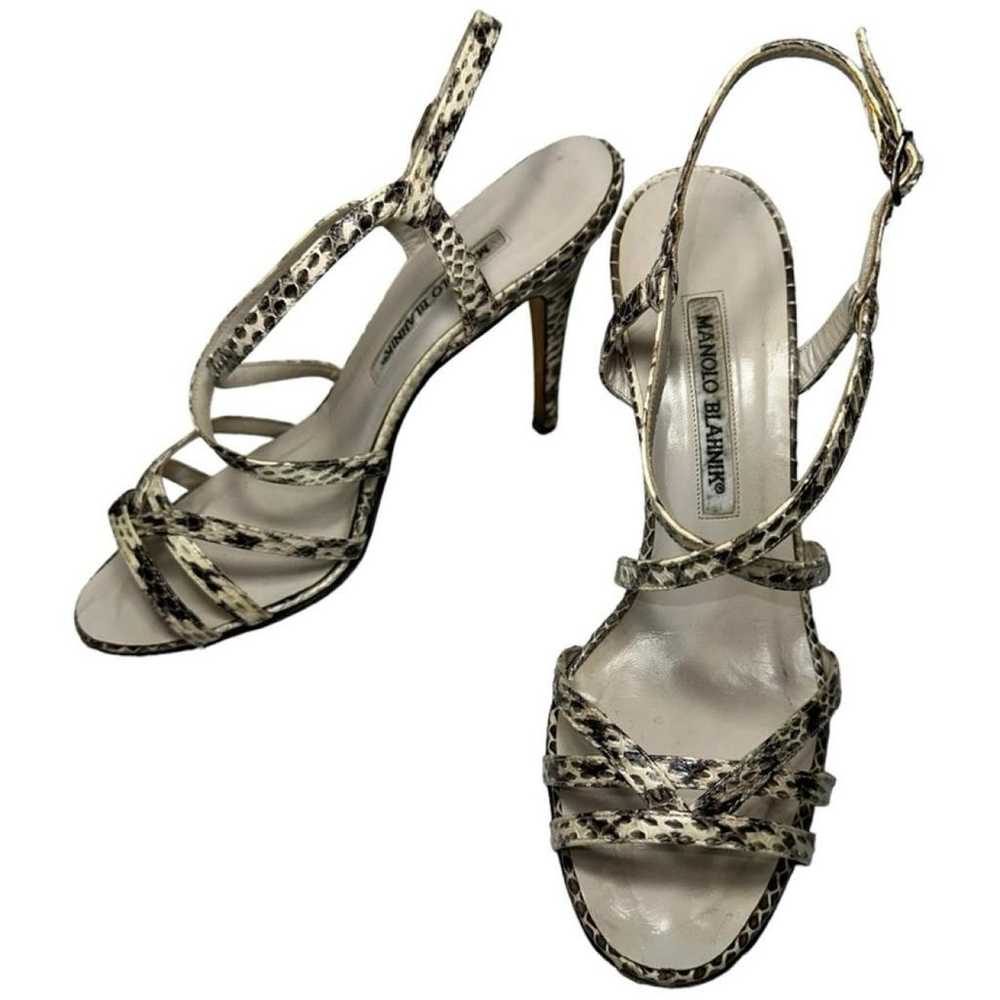 Manolo Blahnik Lizard heels - image 4