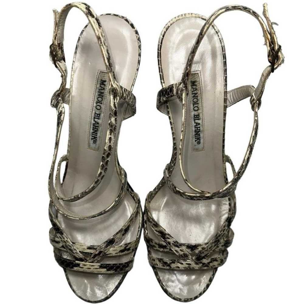 Manolo Blahnik Lizard heels - image 5