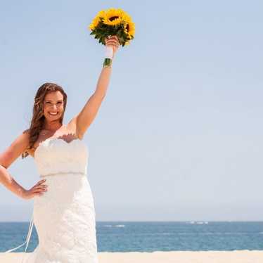 Strapless Lace Wedding Dress