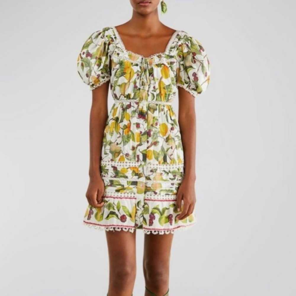 NEW! FARM Rio Orchard floral-print mini dress, SI… - image 2