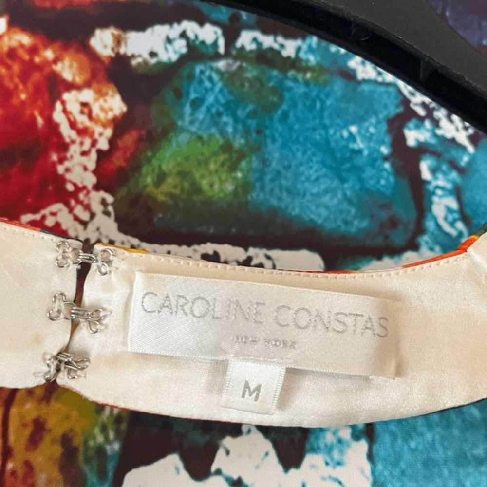 Caroline Constas Silk Watercolor Oliva Dress Size… - image 2