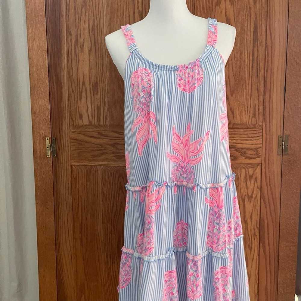 Lilly Pulitzer Loro Dress - image 3