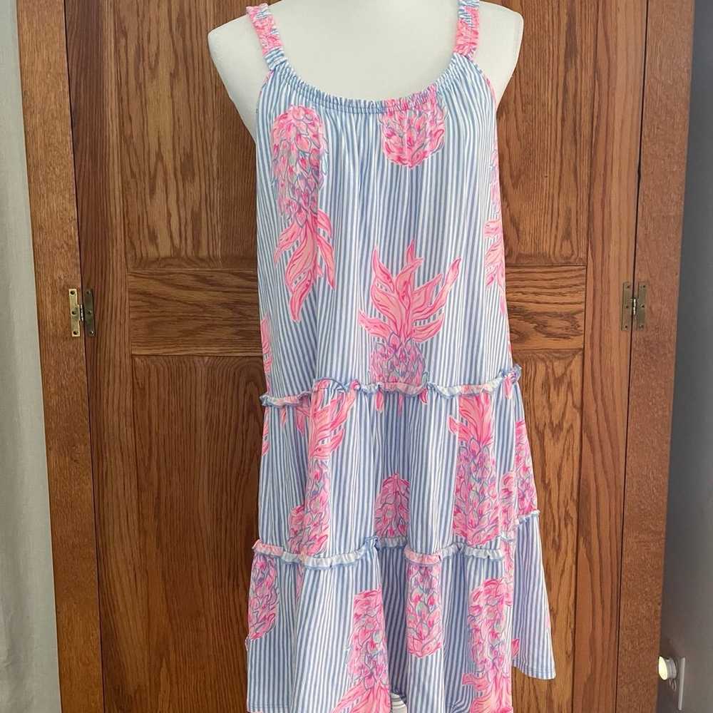 Lilly Pulitzer Loro Dress - image 4