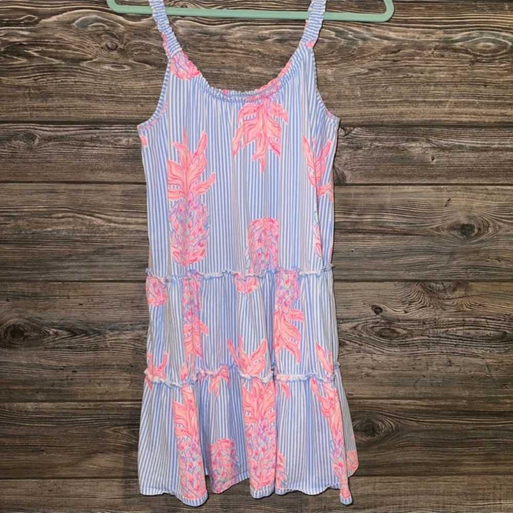 Lilly Pulitzer Rum Swizzle Loro Dress - image 2