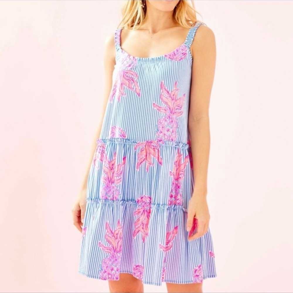 Lilly Pulitzer Rum Swizzle Loro Dress - image 9