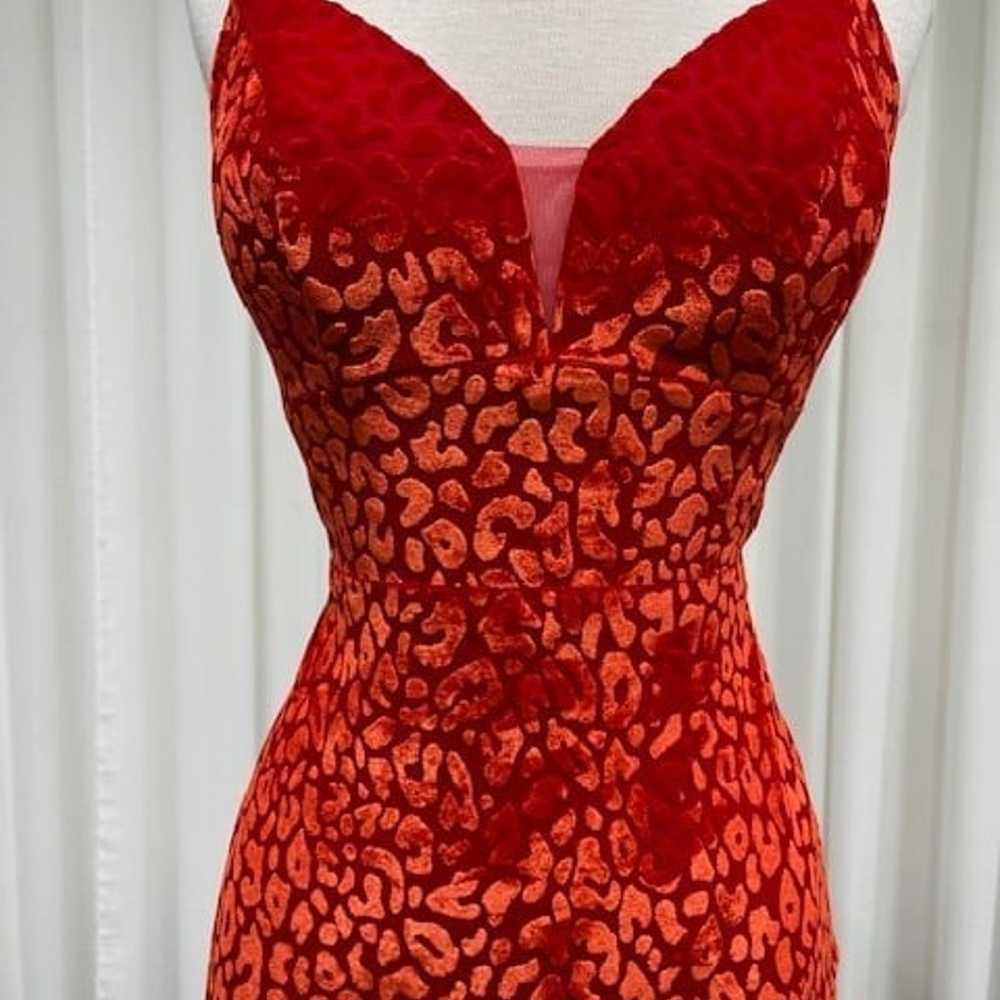 02. Unique Red Leopard Feather Velvety Dress - image 2