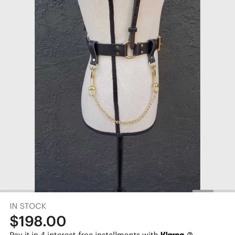 Black and gold leather harness - image 3