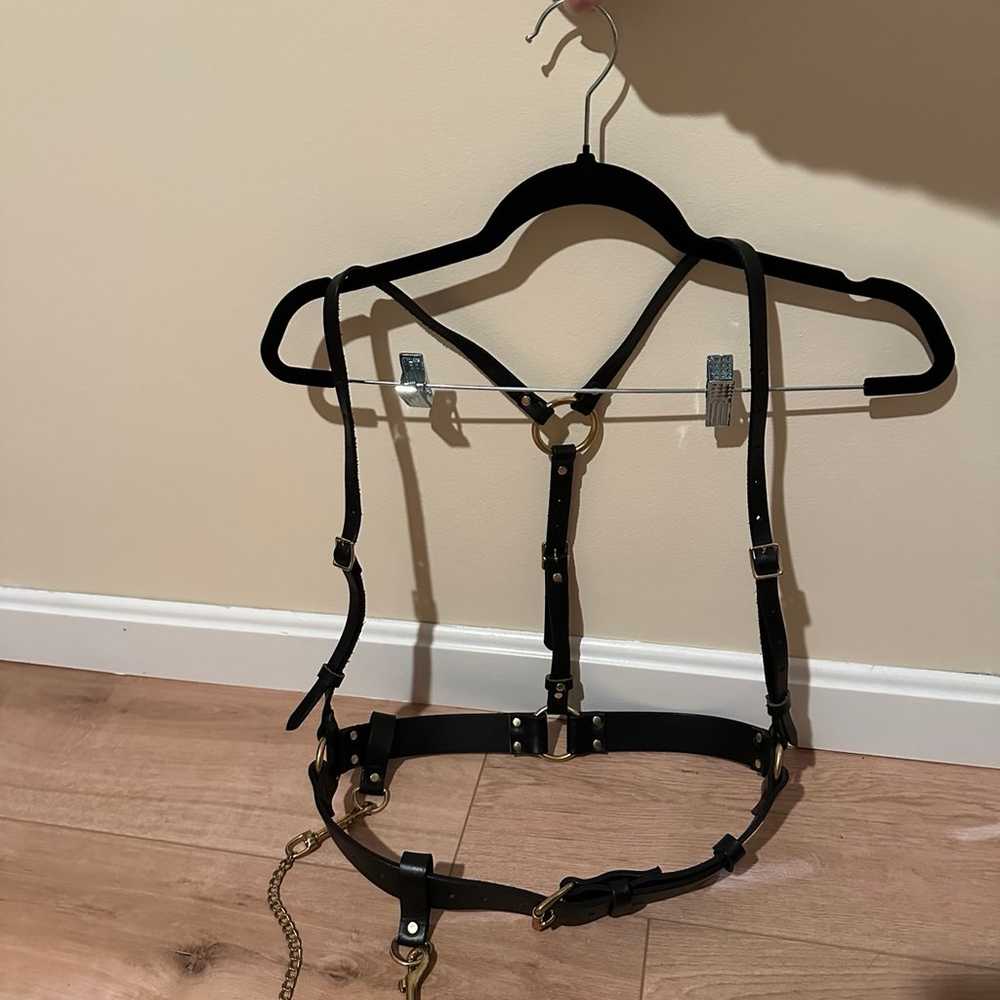 Black and gold leather harness - image 6