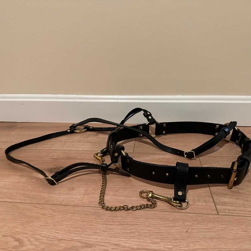 Black and gold leather harness - image 7