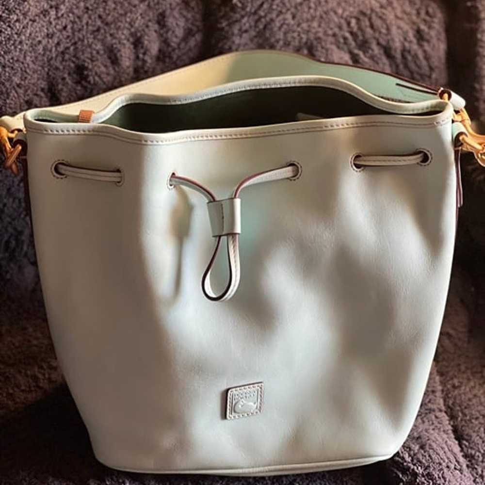 Rare find Dooney and Bourke bag - image 3