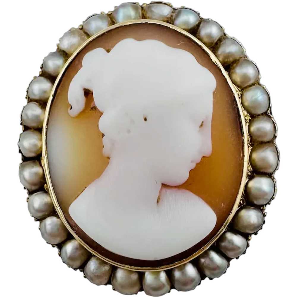 Georgian Conch Shell Cameo 15ct Yellow Gold with … - image 1