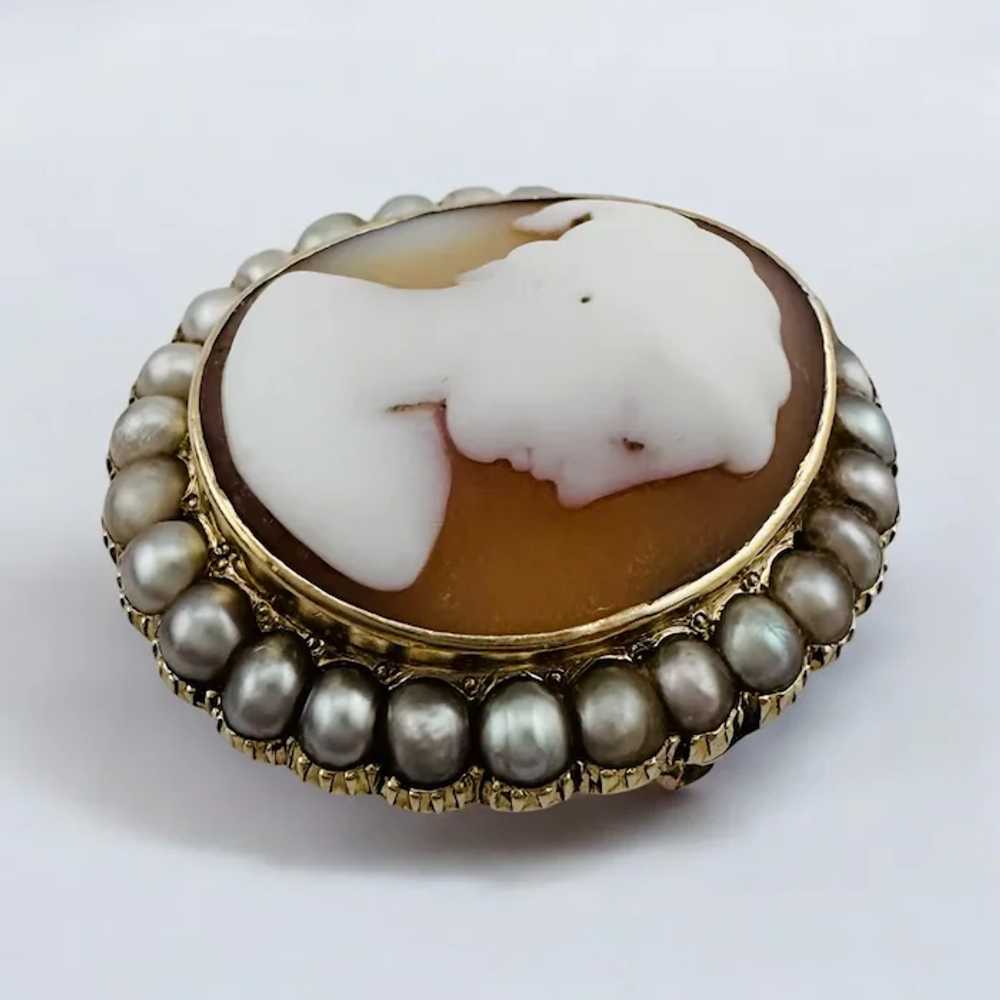 Georgian Conch Shell Cameo 15ct Yellow Gold with … - image 2