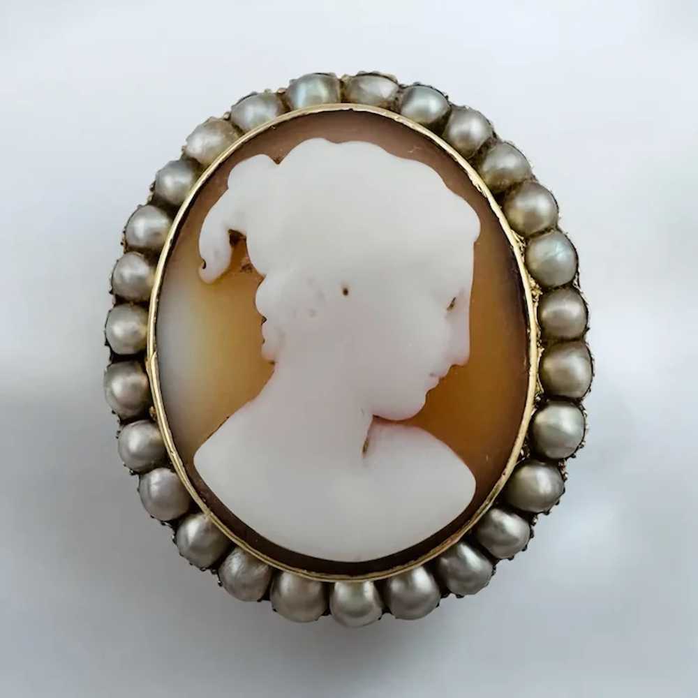 Georgian Conch Shell Cameo 15ct Yellow Gold with … - image 5