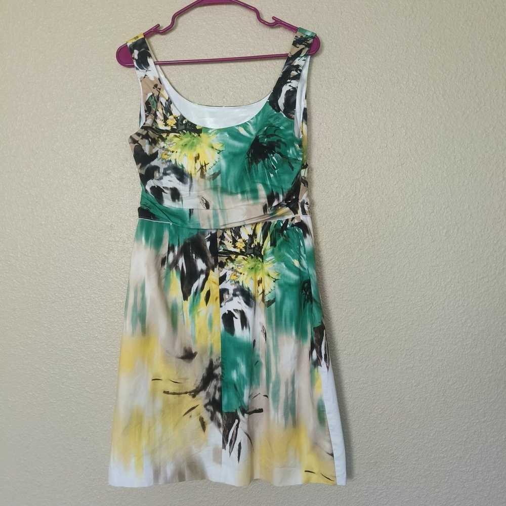 Tahari Sleeveless Cotton Dress with Watercolor Da… - image 1