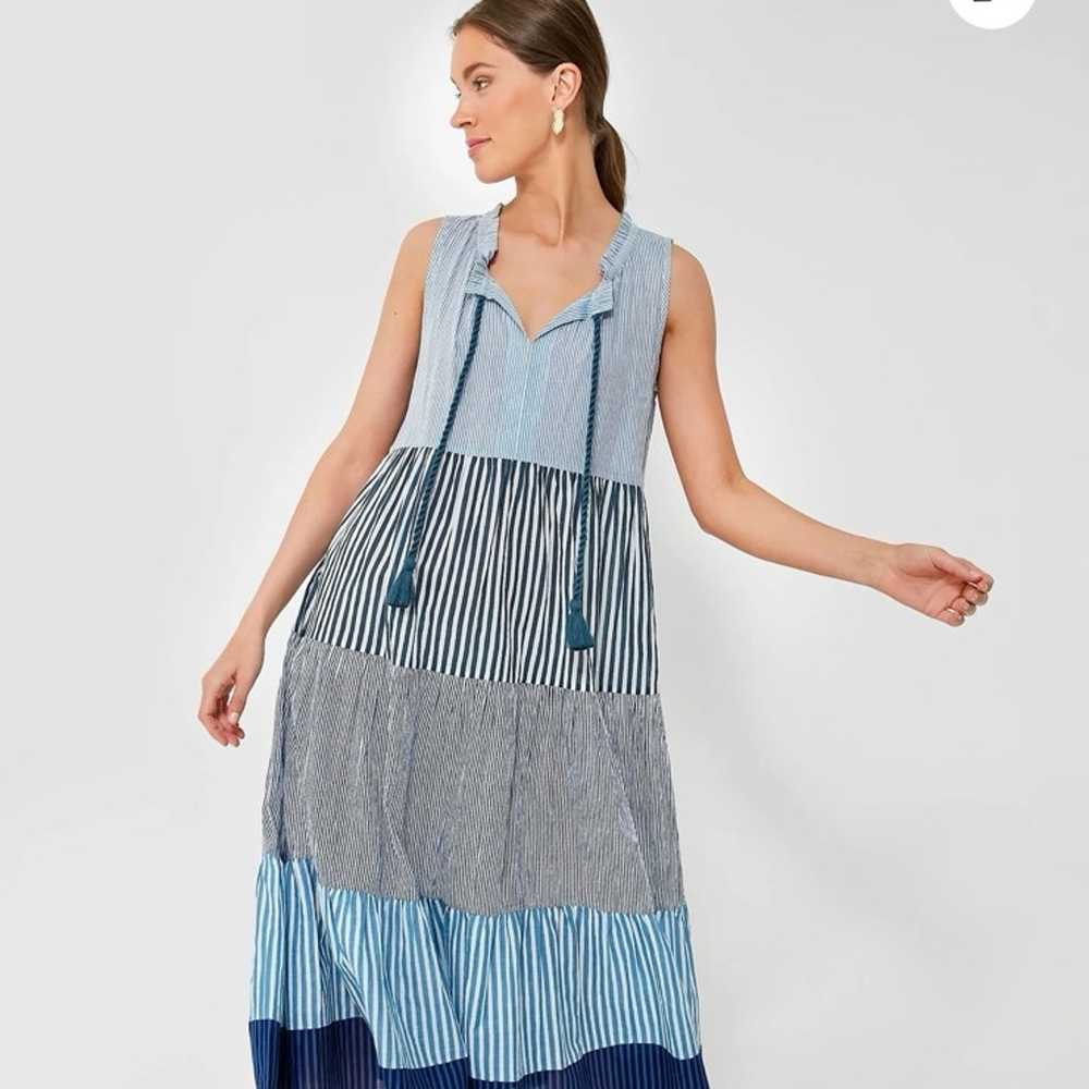 Tuckernuck Maxi Dress Paloma Blue Cotton Strips S… - image 6