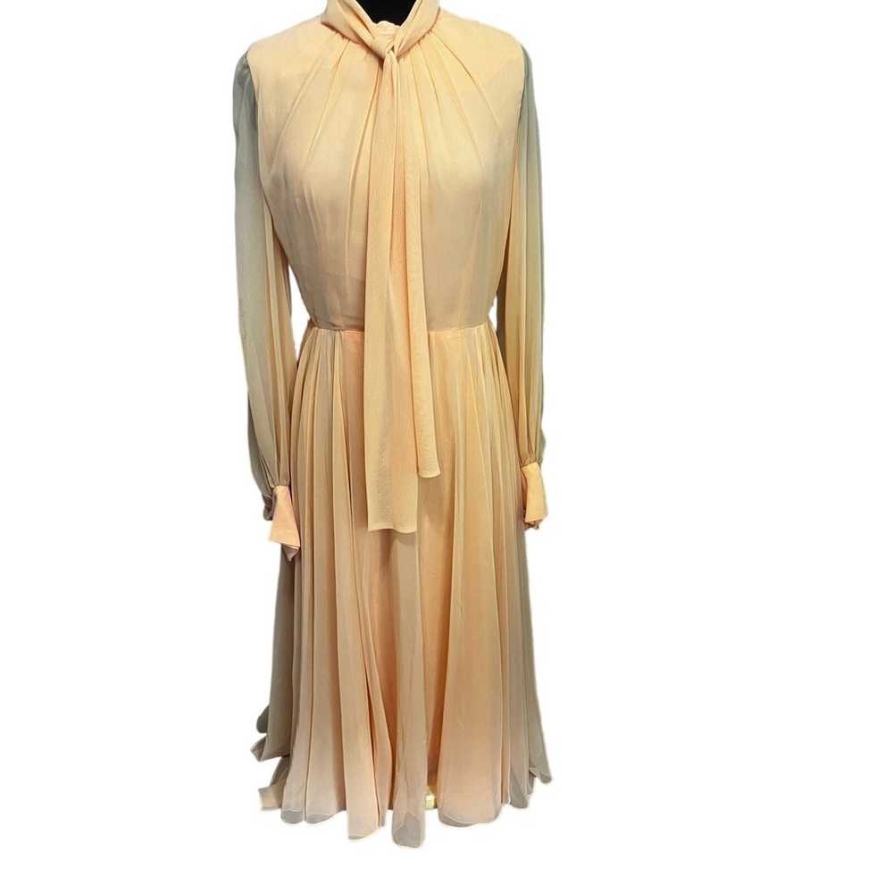 Vintage 60s Peach Orange Formal Sheer Chiffon Max… - image 2