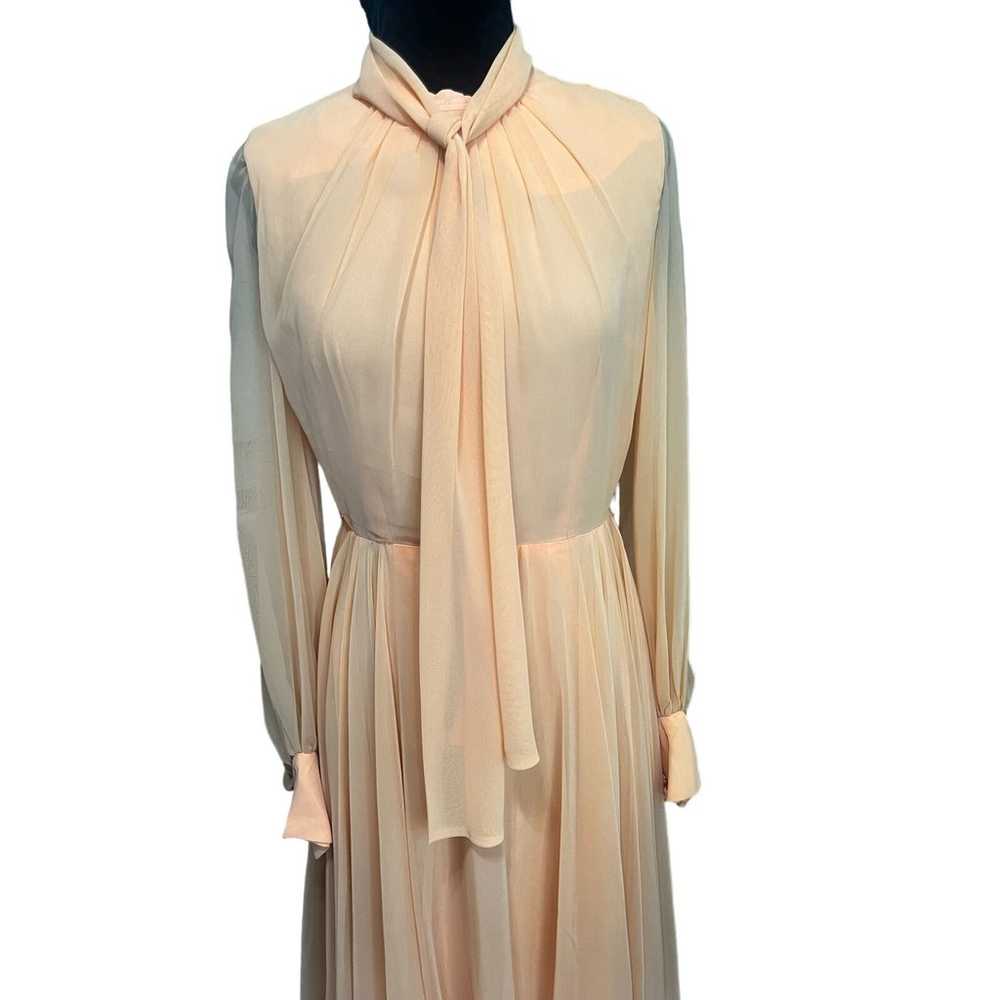 Vintage 60s Peach Orange Formal Sheer Chiffon Max… - image 5