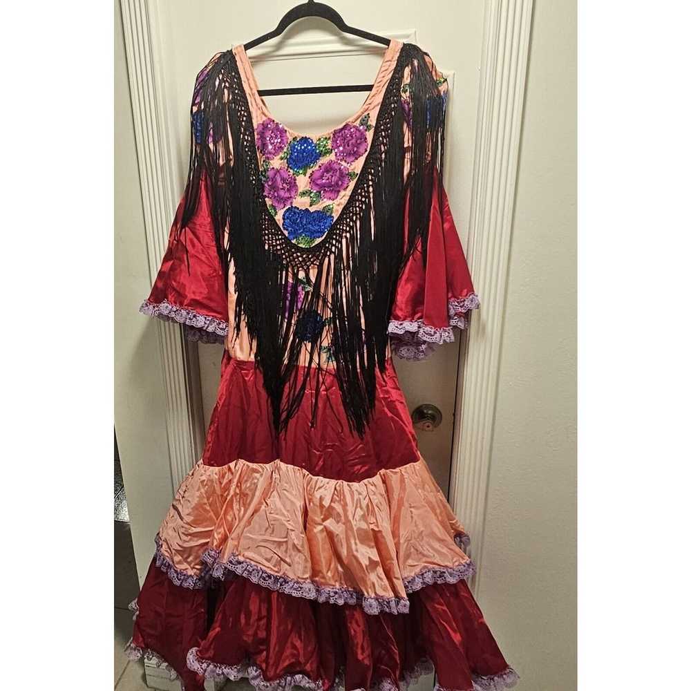 Vintage Flamenco Folklorica Latin Dance Dress Spa… - image 1