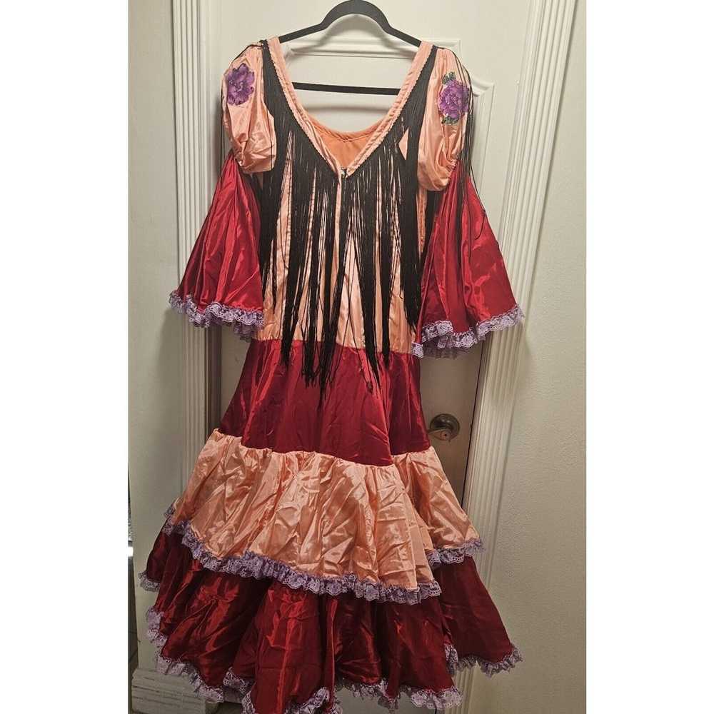 Vintage Flamenco Folklorica Latin Dance Dress Spa… - image 3