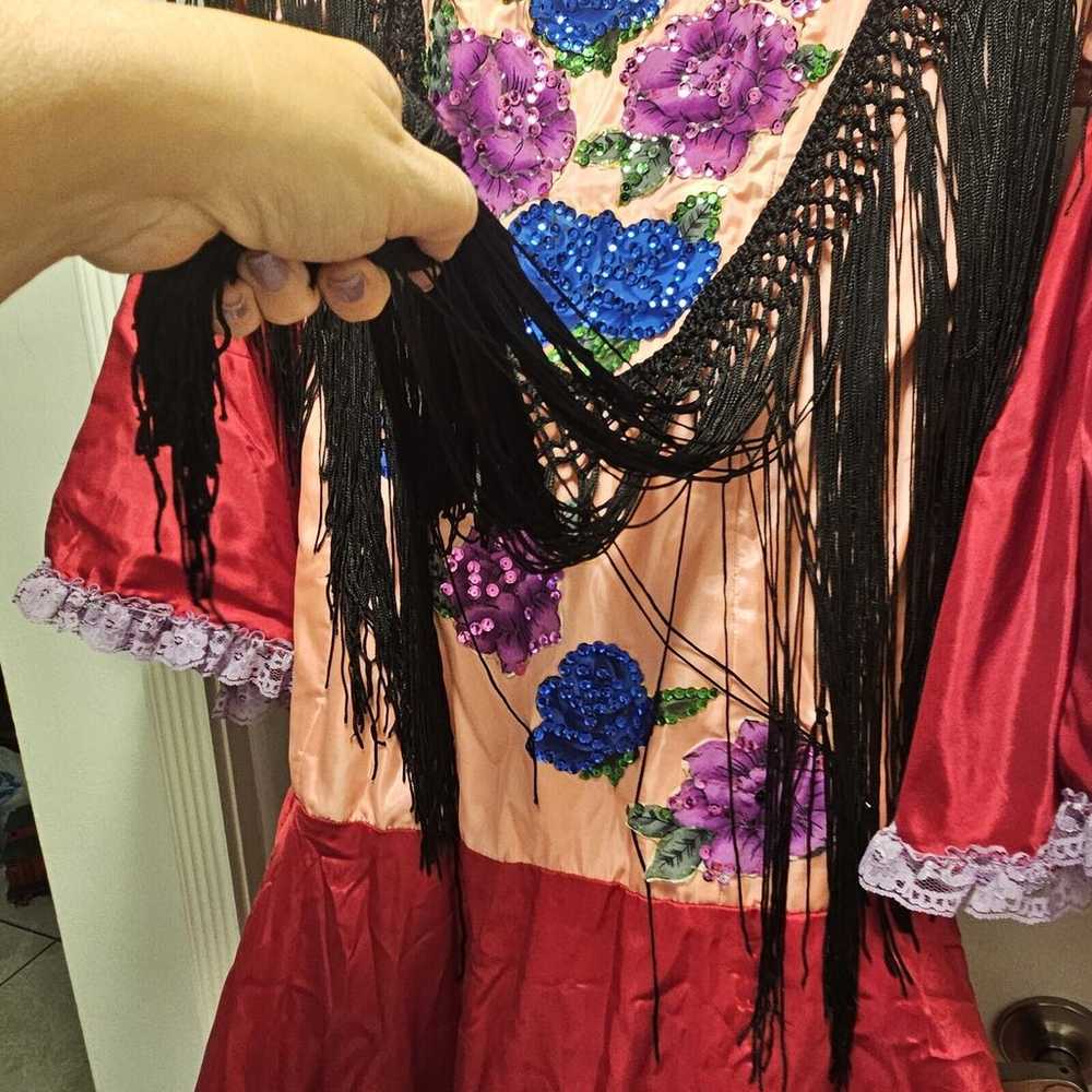 Vintage Flamenco Folklorica Latin Dance Dress Spa… - image 7