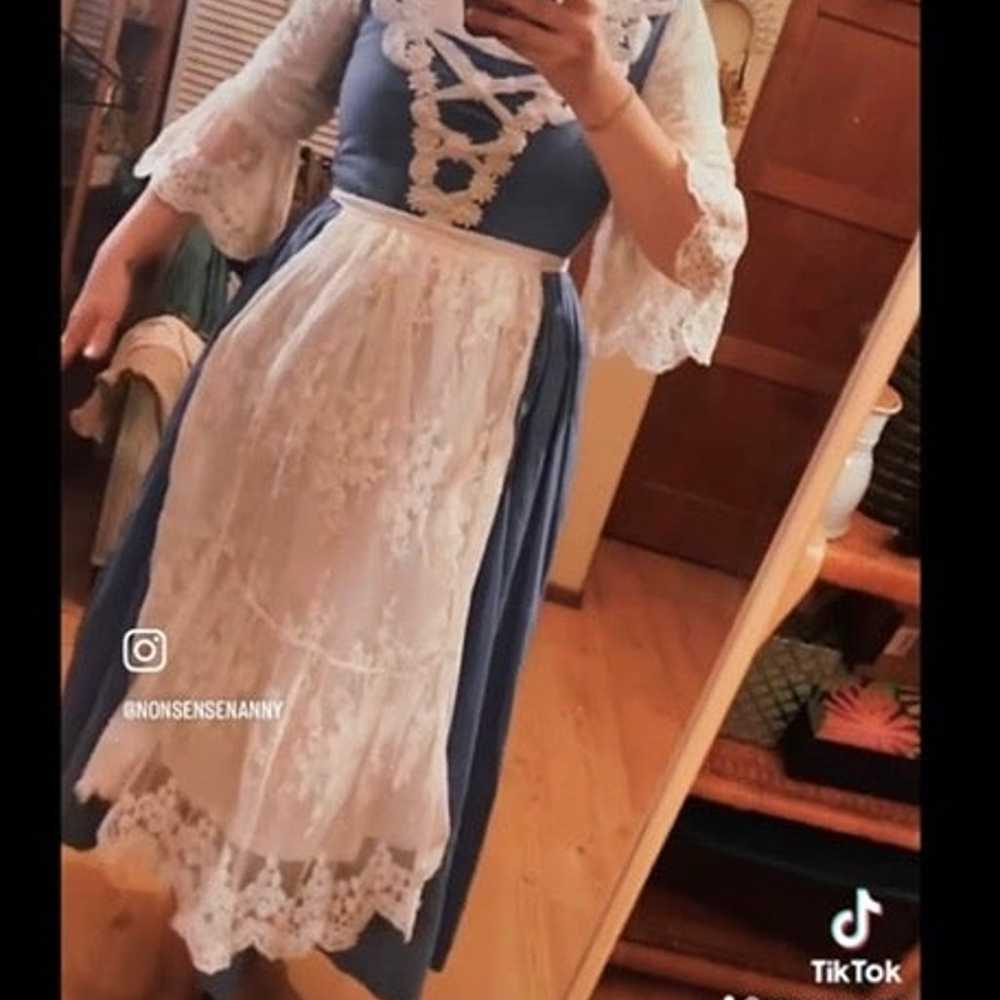 Village/Provincial Belle Costume - image 1