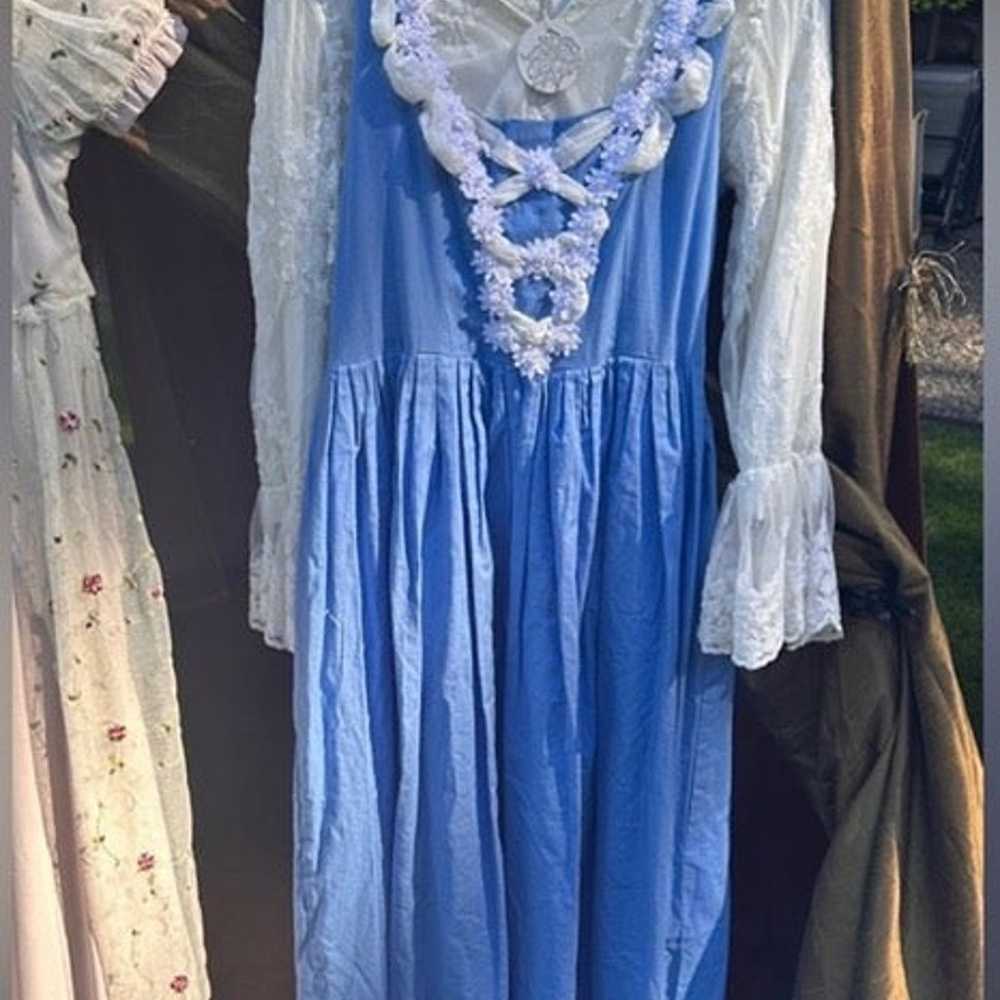 Village/Provincial Belle Costume - image 2