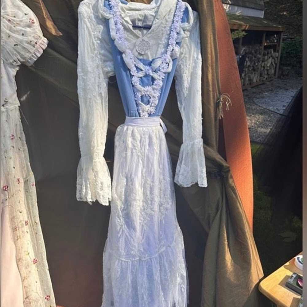 Village/Provincial Belle Costume - image 3