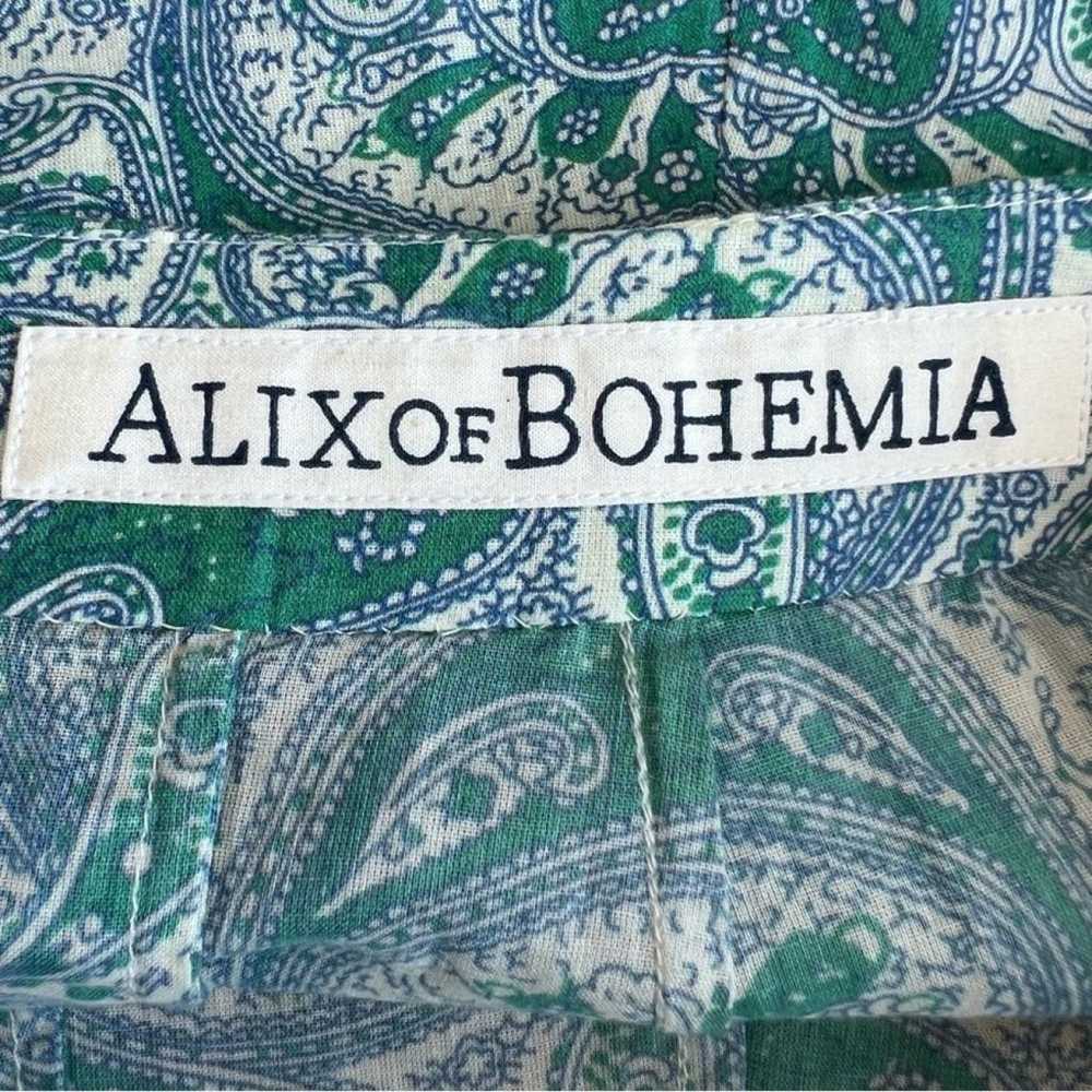 Alix Of Bohemia Trousers - image 3