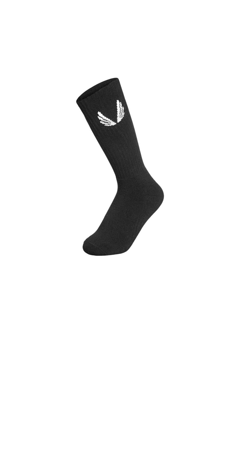 ASRV Socks - image 1