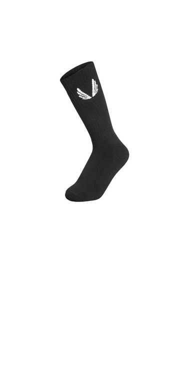 ASRV Socks - image 1