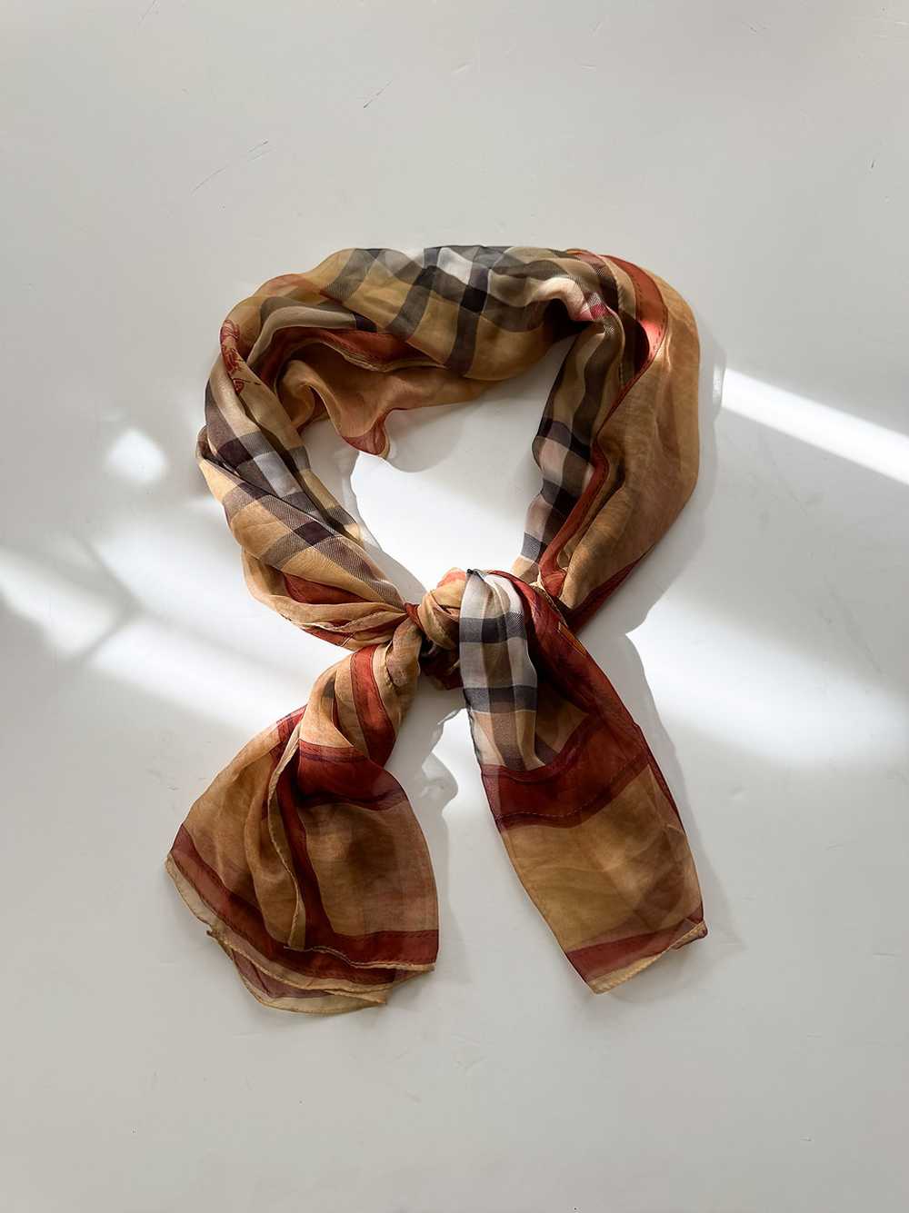 Sheer Burberry Scarf - image 1