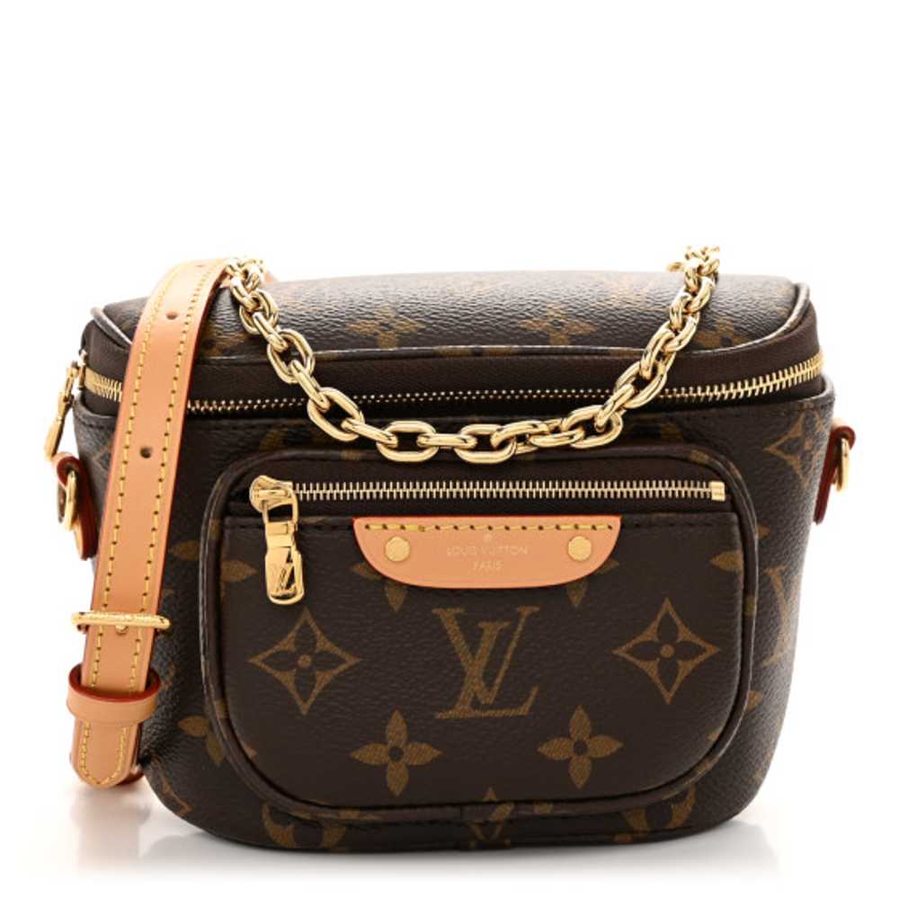 LOUIS VUITTON Monogram Mini Bumbag - image 1