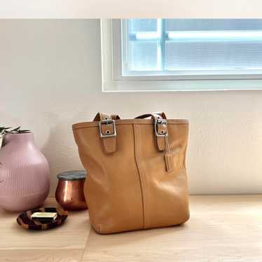 Coach leather tote bag