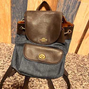 Coach bag (small)