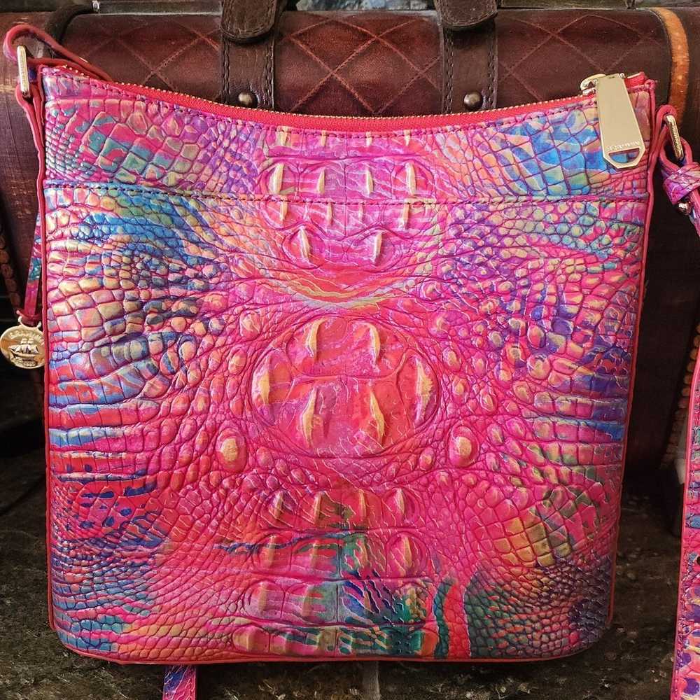 Brahmin Katie Rainbow Fish - image 3