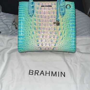 Cotton Candy Brahmin Caroline - image 1