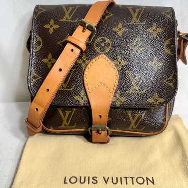 Louis Vuitton Crossbody Bag - image 1