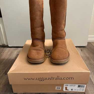 womens classic tall uggs size 6