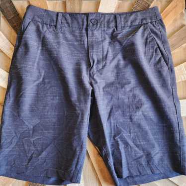 Hang Ten Hang Ten Men's Size 32 Navy Board Shorts… - image 1