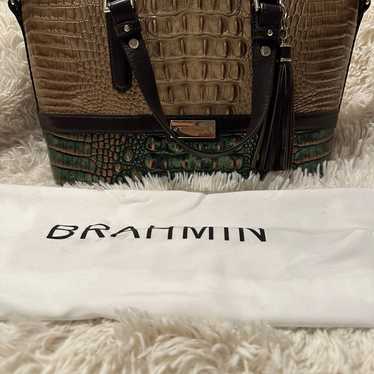 Brahmin Mini Asher  in Samba Kingfisher