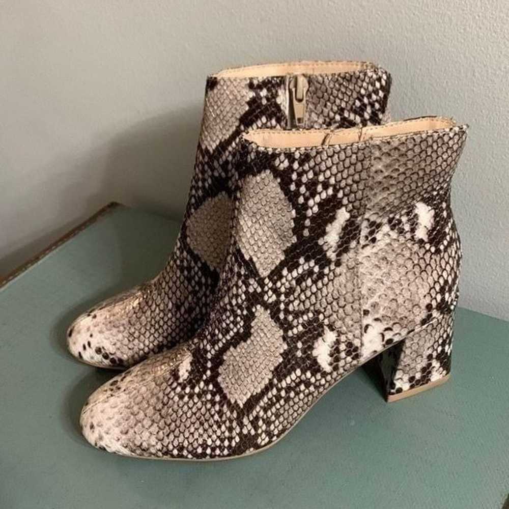 Chinese Laundry Daria snake print ankle boot size… - image 1