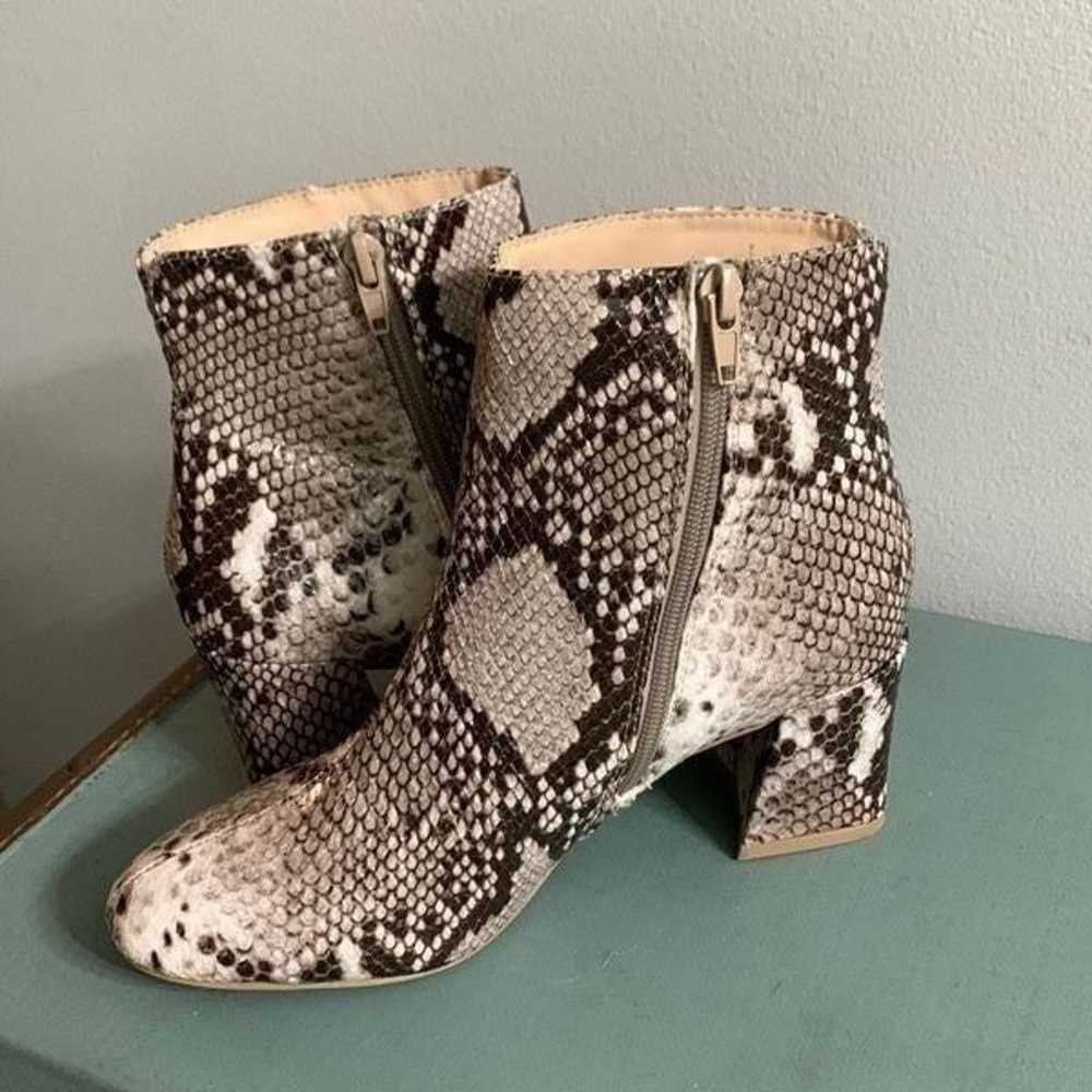 Chinese Laundry Daria snake print ankle boot size… - image 3