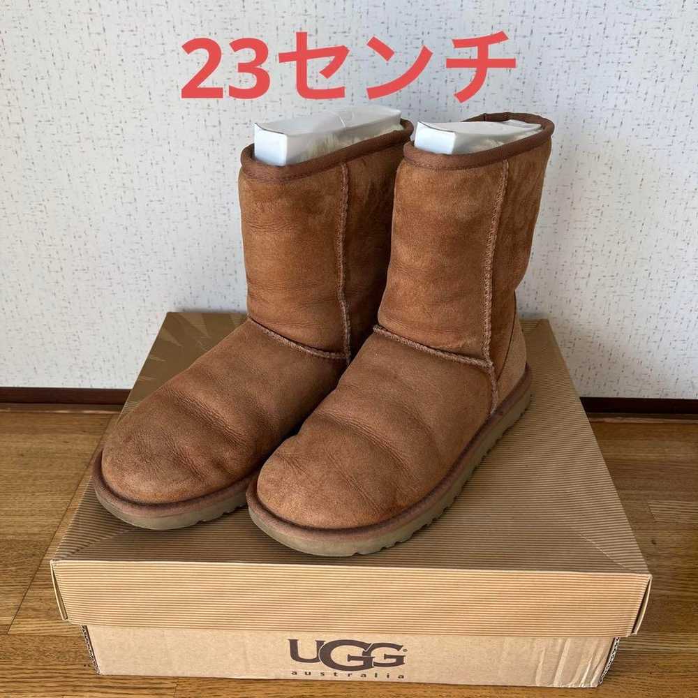 UGG ●Sheepskin Boots ●Chestnut ●Brown ●Beige ●23 … - image 1