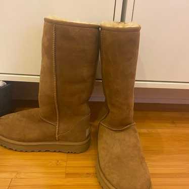 Ugg woman classic tall boot