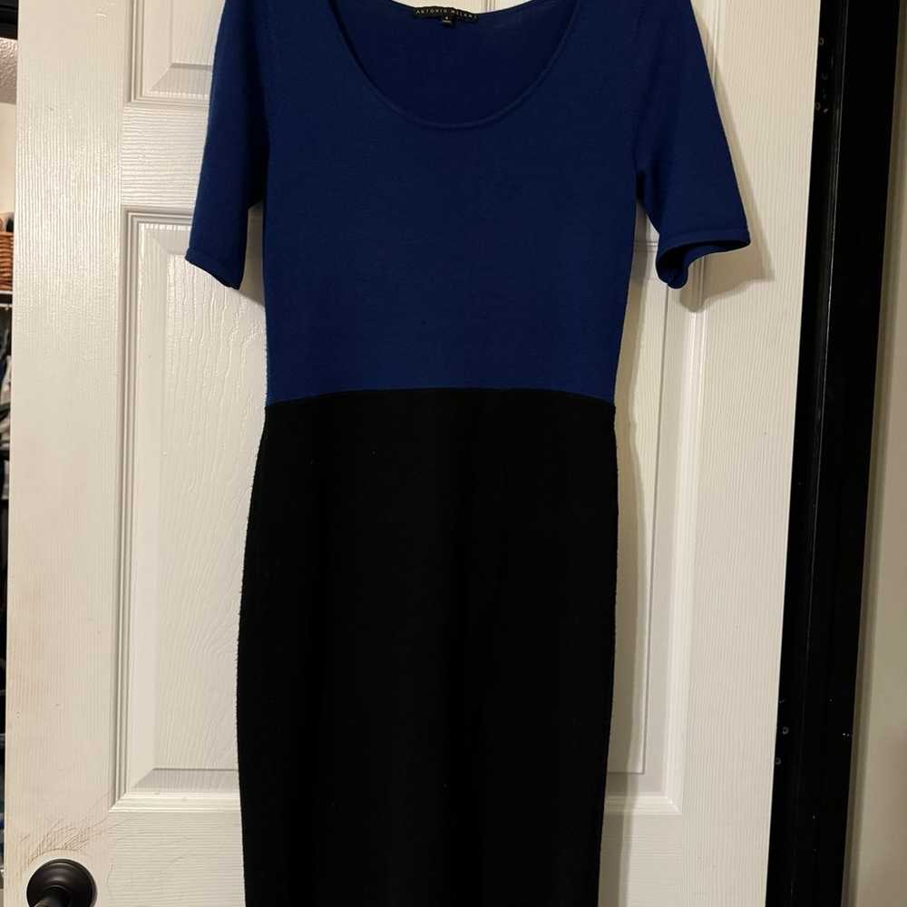 Antonio Melani Merino Wool Sweater Dress - image 2