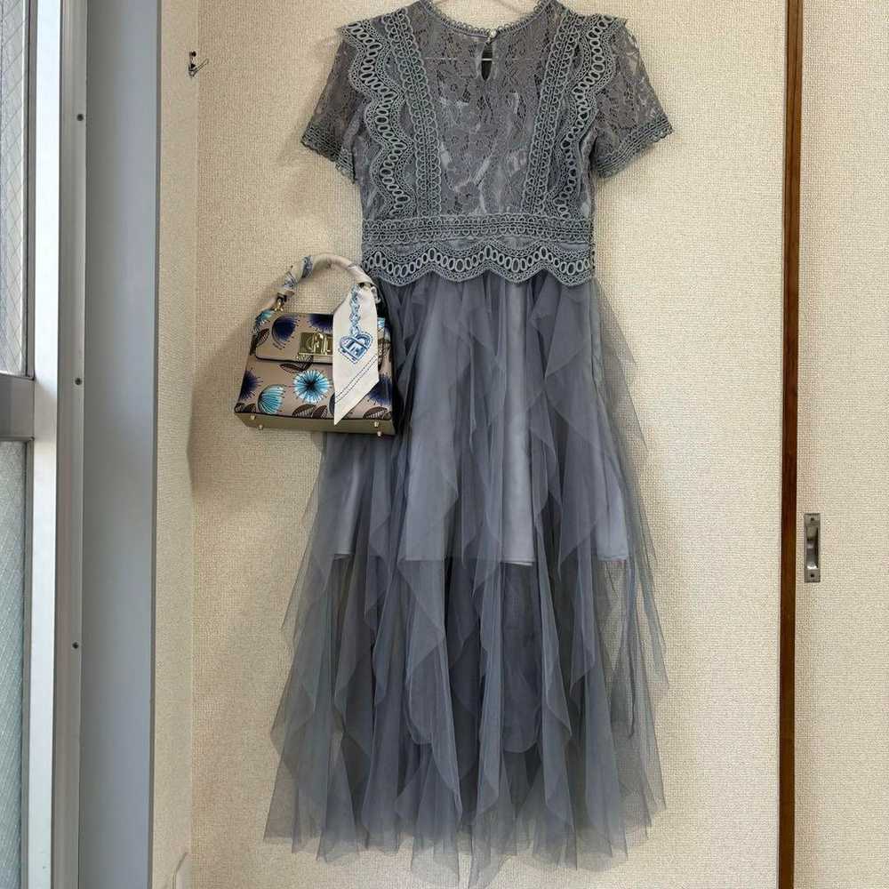 Party Dress ♡ Tulle Lace, Adult Cute - image 6